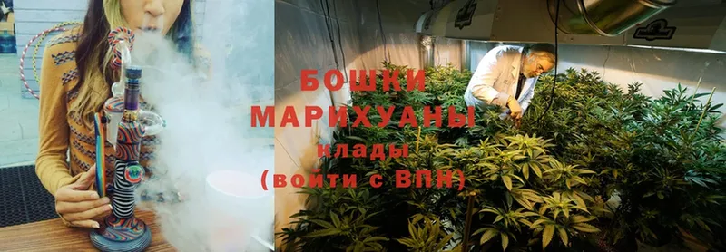 Каннабис White Widow  Вытегра 